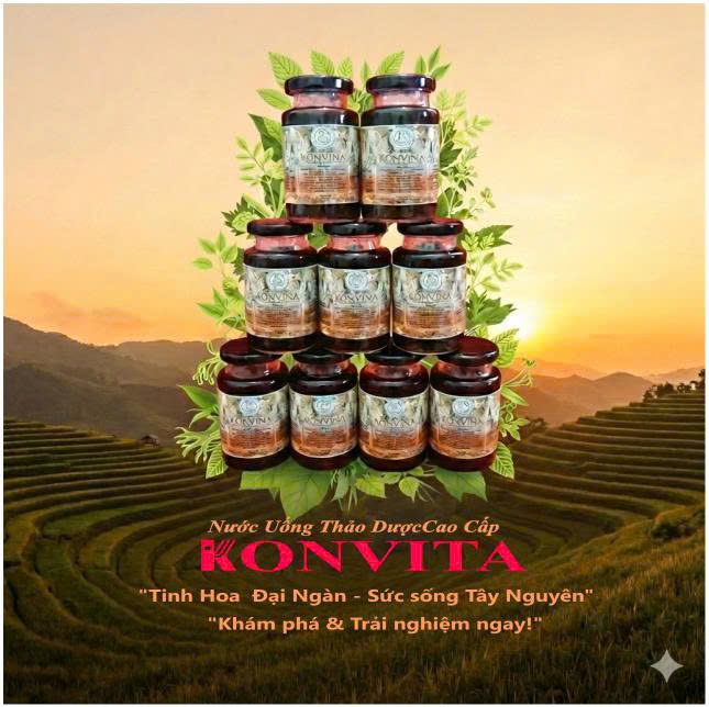 Nước Uống Thảo Dược KONVITA